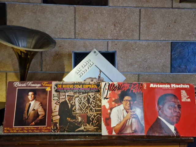 Colección de discos de vinilo