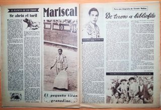 El ruedo No 554. 3 febrero 1955. El toro de lidia.