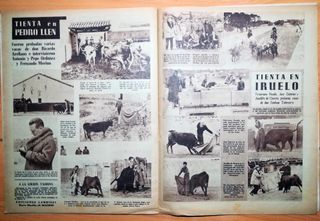 El ruedo No 554. 3 febrero 1955. El toro de lidia.