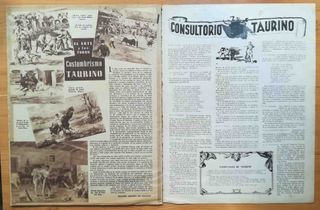 El ruedo No 554. 3 febrero 1955. El toro de lidia.