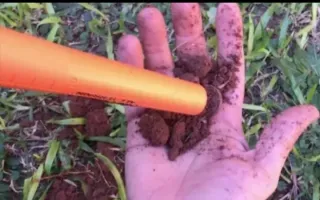 Detector de metales de mano