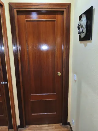 8 Puertas Madera con Moldura y 1 Cristal