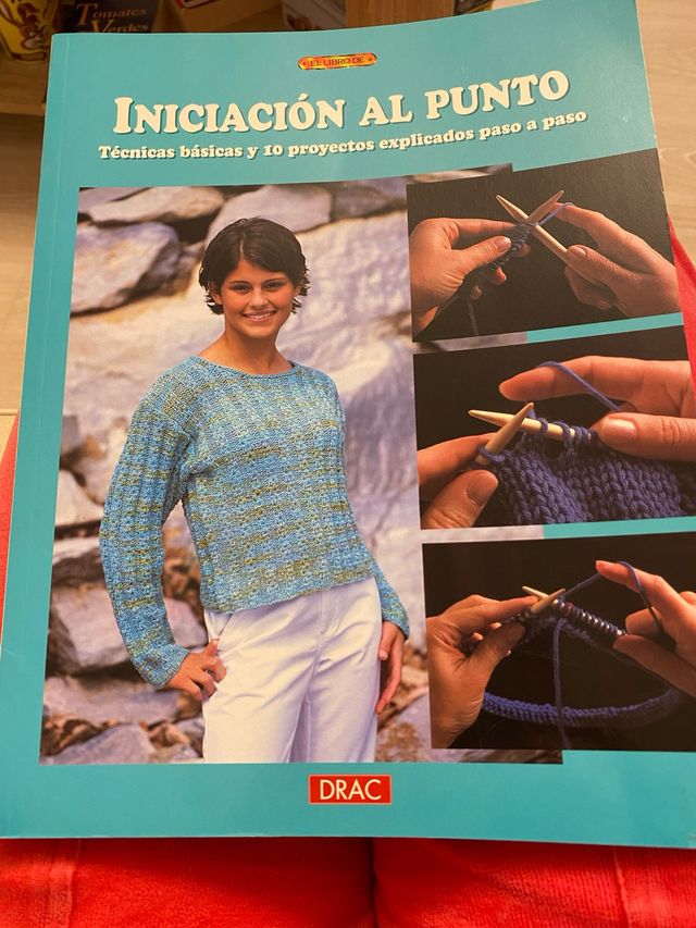 INICIACION AL PUNTO. TECNICAS BASICAS Y 10 PROY...