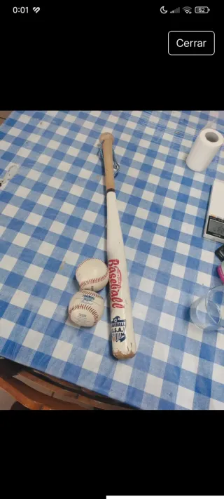 Bate de béisbol y 2 pelotas