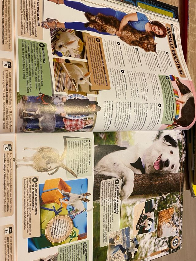 Guinness World Records 2020