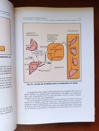 Las Diabetes Mellitus