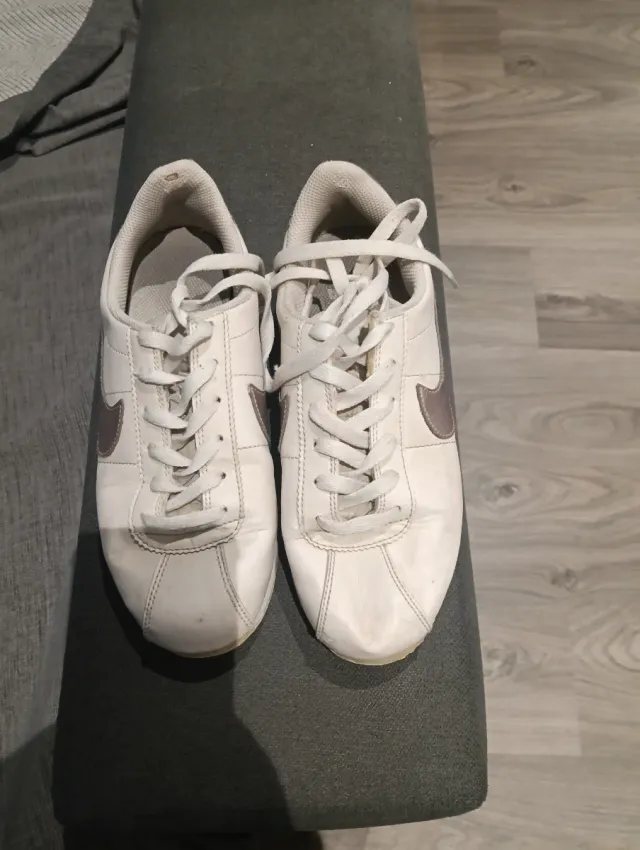 Zapatillas Nike Blancas y Plateadas