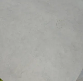 Restos de obra: 52 cajas de azulejos