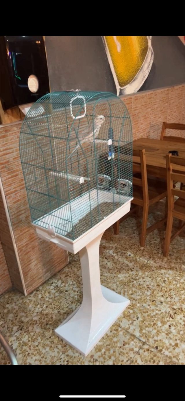 Jaula para pájaros con pie