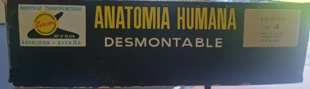 Anatomia Umana Smontabile Serima