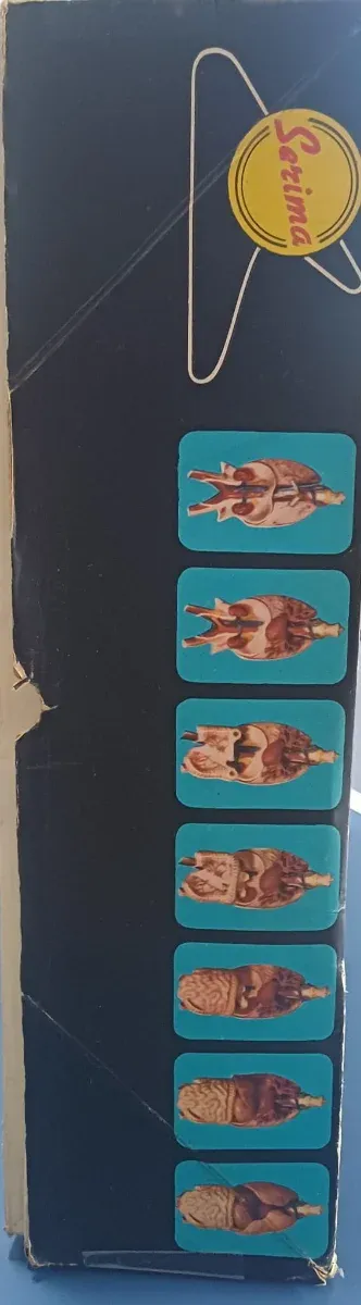 Anatomia Umana Smontabile Serima