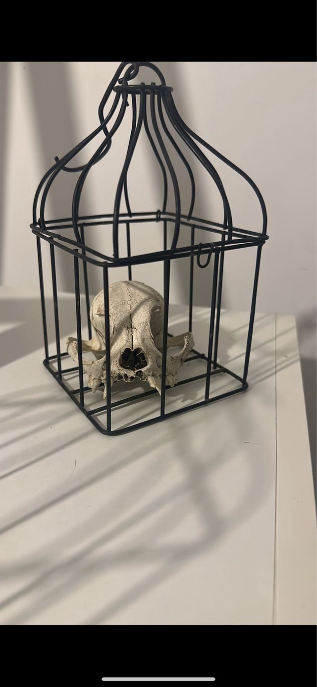 Mini jaula decorativa negra
