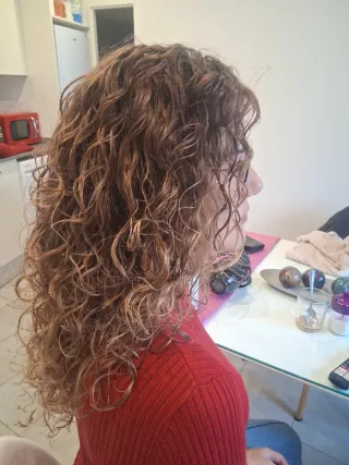 Peluquera a casa