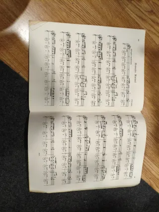 (no descuento)Acordeón Hohner y libro método