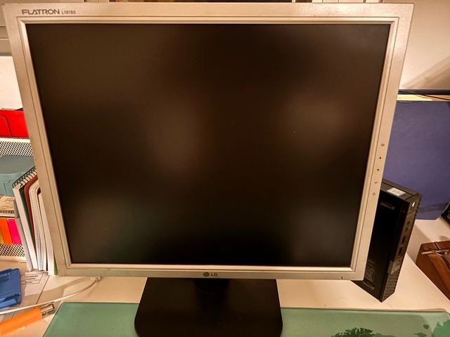 Pantalla LG Flatron L1910S cables incluidos