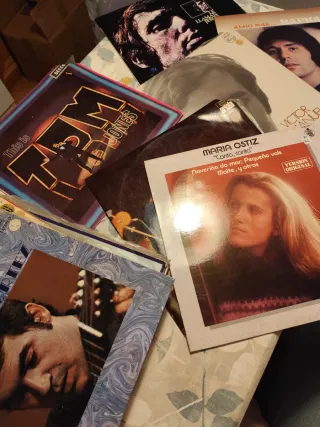 Lote Vinilos Varios Artistas Folk Pop Rock