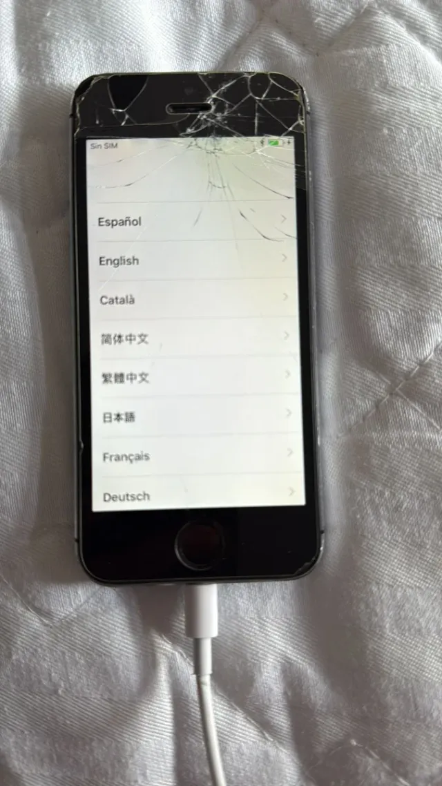 iPhone 5s Caja Negra/Plateada