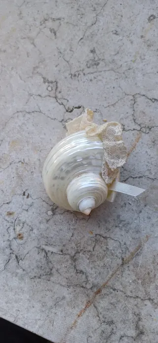 Lumachina portaspilli decorata