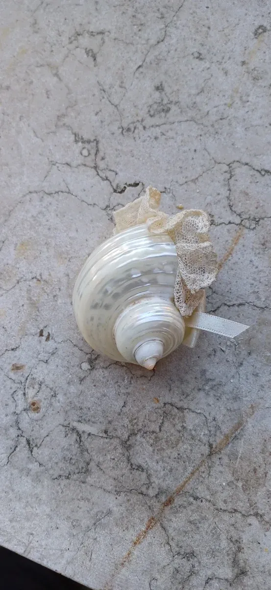 Lumachina portaspilli decorata