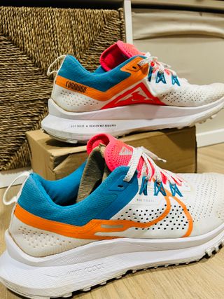 Nike Pegasus Trail 4