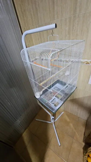 Jaula grande para pájaros con balancín
