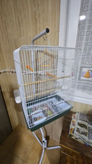Jaula grande para pájaros con balancín