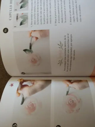 Libros Flores de acuarela y Ilustración botánica