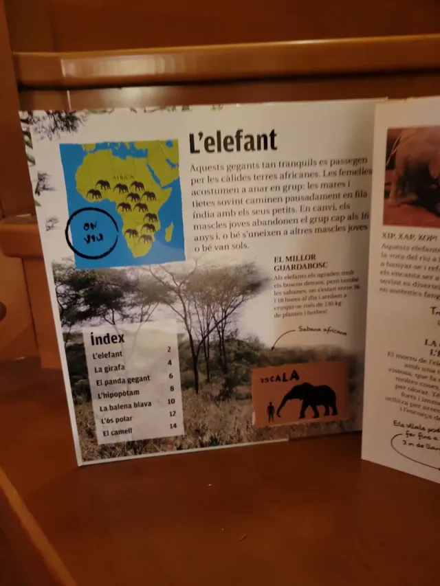 Animals gegants salvatges