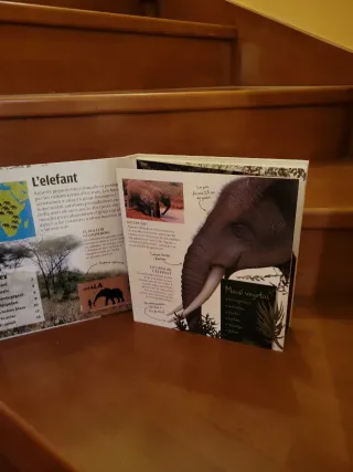 Animals gegants salvatges