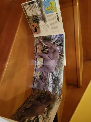 Animals gegants salvatges