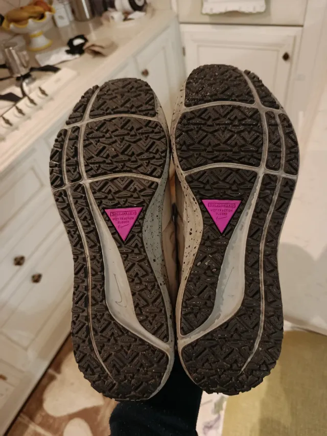 Nike Pegasus 39 Shield donna viola/bianco