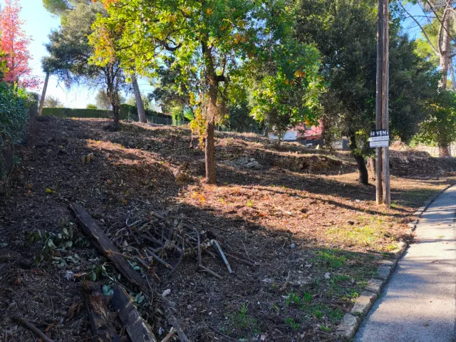 LEÑA GRATIS PARA BARBACOAS