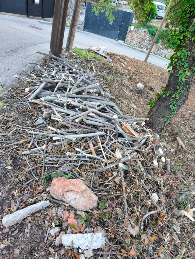 LEÑA GRATIS PARA BARBACOAS