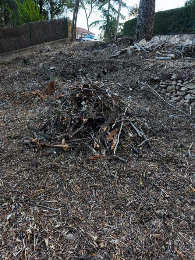 LEÑA GRATIS PARA BARBACOAS