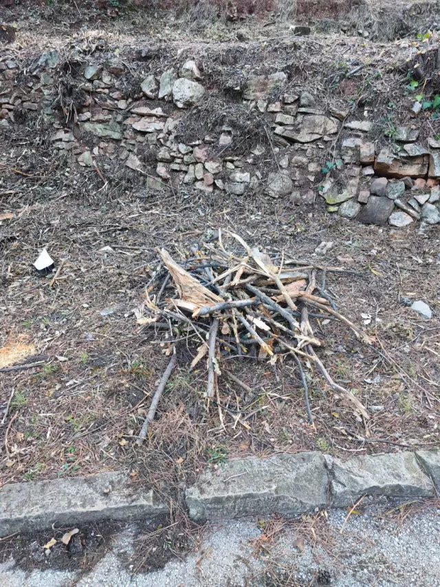 LEÑA GRATIS PARA BARBACOAS