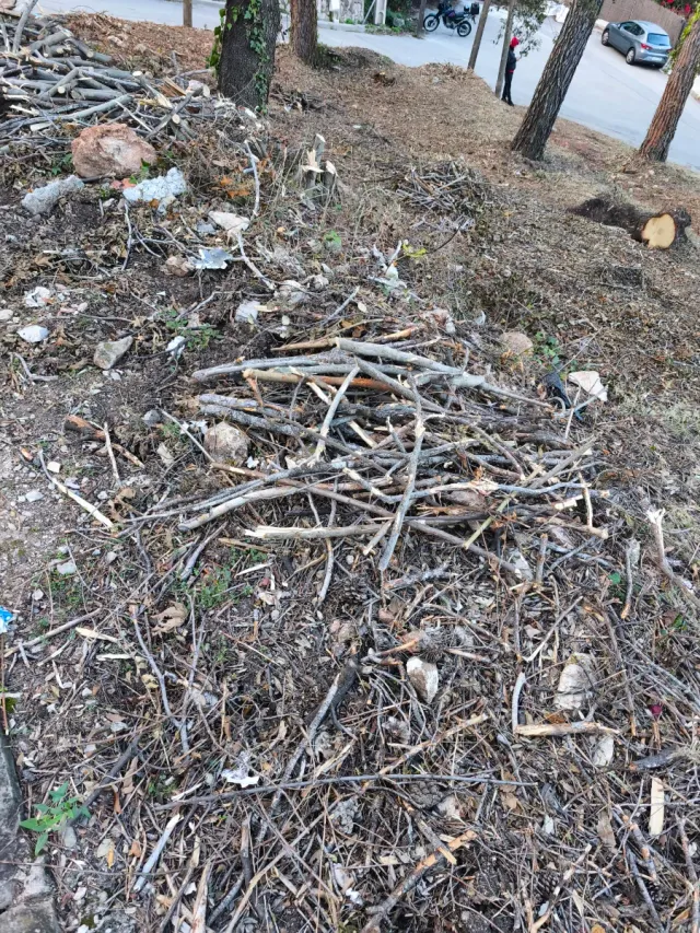 LEÑA GRATIS PARA BARBACOAS