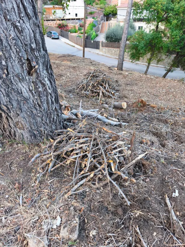 LEÑA GRATIS PARA BARBACOAS