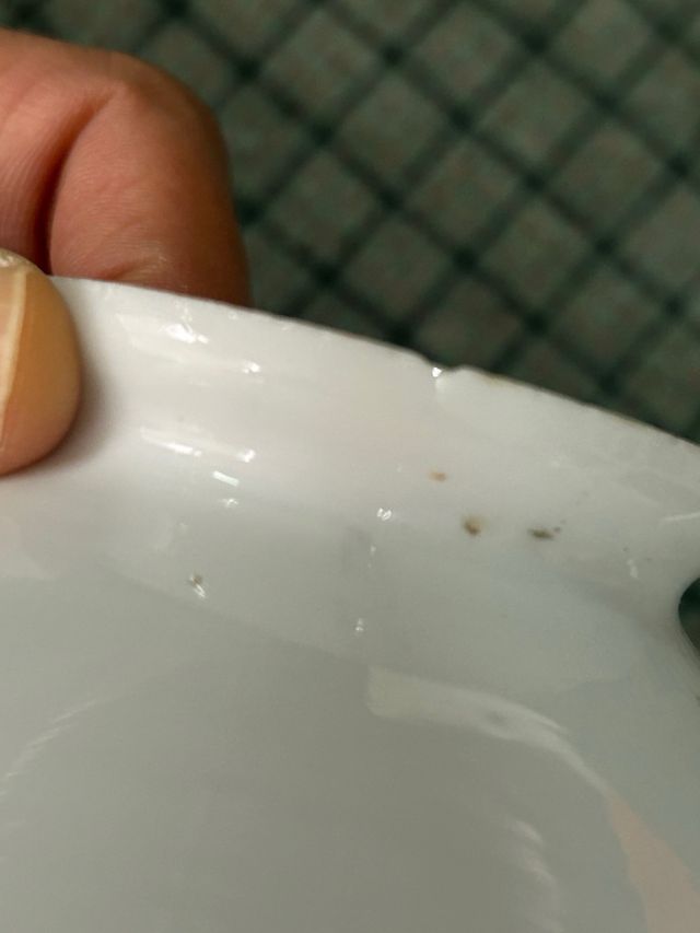 Tulipano di porcellana bianca antico opalino