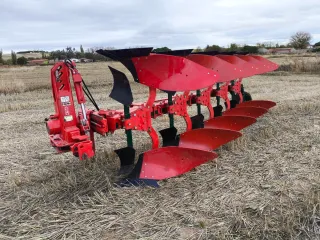 Vertederas 5 Vogel Noot