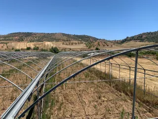 Estructura Invernadero Metálico