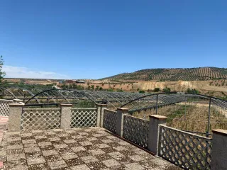 Estructura Invernadero Metálico