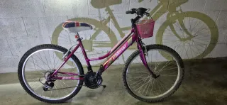 Bici da ragazza Rollmar