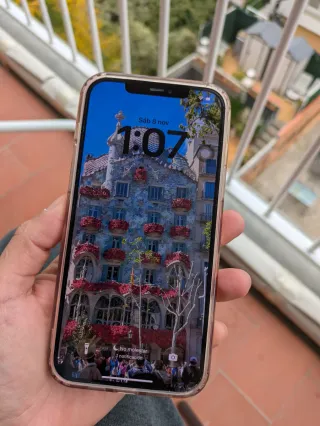 iPhone 12 Pro Max 256GB Plata