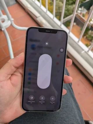 iPhone 12 Pro Max 256GB Plata