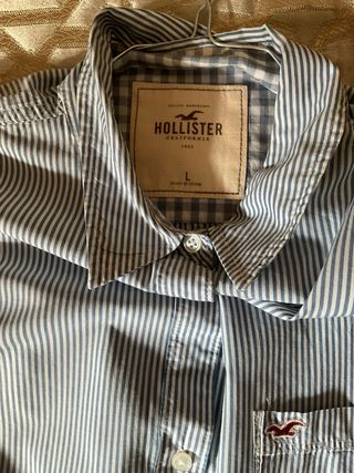 Camicia uomo Hollister righe azzurre