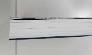 El arte Gótico en territorio burgales