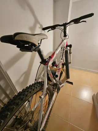 Bicicleta Montaña Whistle Miwok 1032D