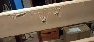 Cama articulada Invacare com colchão