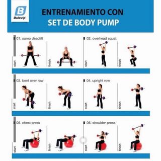 Barra de pesas con discos y topes.