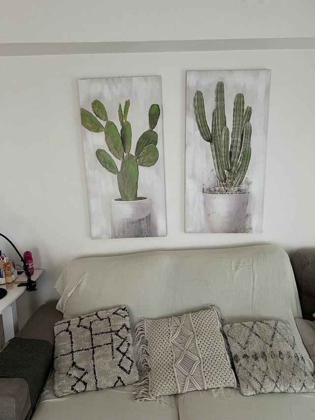 Cuadros decorativos cactus set 2